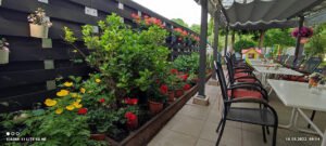 Restaurant Achilleon